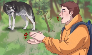 Nắm loạt bí kíp sinh tồn sẽ giúp bạn thoát khỏi 6 tình huống cực nguy hiểm thường gặp