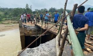 Thủy Tiên thông báo đấu thầu xây cầu ở Nghệ An