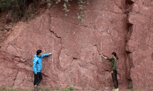 Phát hiện gần 100 dấu chân khủng long khổng lồ tại Trung Quốc