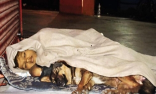 Rớm nước mắt với hoàn cảnh cậu bé mồ côi sống cùng chú chó nhỏ