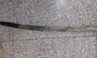 Đồng Tháp: Người đàn ông bị cọc gỗ đâm xuyên tầng sinh môn khi đang tắm