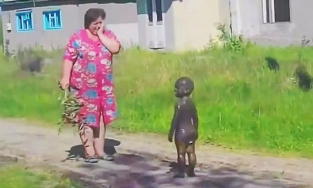 Những bức hình về trẻ em được chia sẻ khắp MXH vì “siêu cấp hài hước”