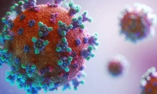 Biến thể virus Covid-19 mới từ Anh đã xuất hiện tại Việt Nam