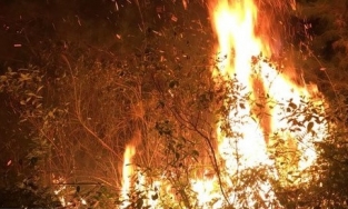 Huy động 1.100 người dập đám cháy rừng trồng Sóc Sơn