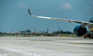 Nghi mèo chạy qua đường băng ở Nội Bài, nhiều máy bay phải chuyển hướng hạ cánh