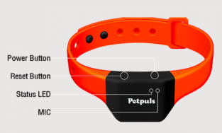 Vòng cổ thông minh giúp hiểu chó cưng qua tiếng sủa