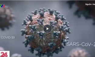 Đưa tin về Covid-19, VTV cũng không quên bắt trend hai từ 'duyên phận'