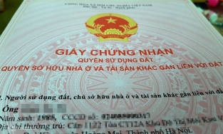 Những chính sách nổi bật chính thức có hiệu lực từ tháng 2