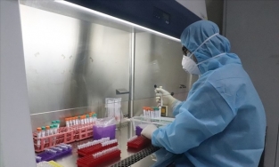 Phát hiện chủng virus biến thể Covid-19 mới ở Anh trên bệnh nhân 1660 ở TP. HCM