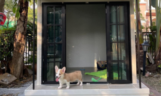 Dân tình ghen tỵ với 'rich kid dog' được xây hẳn ngôi nhà khang trang đón Tết