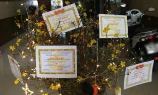 Trend khó đu dành cho 'con ngoan trò giỏi' ngày Tết: Mai đào treo đầy giấy khen, huy chương