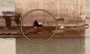 Cặp đôi tự tử nhưng Diêm vương 'không chứa' vì nhảy cầu ngay mùa nước cạn