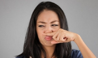 Xuất hiện nghề độc đáo nhất thế giới: Ngửi mùi 'xì hơi' kiếm hơn tỷ/năm