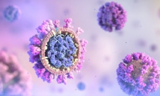 Virus gây bệnh Covid-19 khiến hơn 3 triệu người chết đã biến đổi hơn 6.600 lần