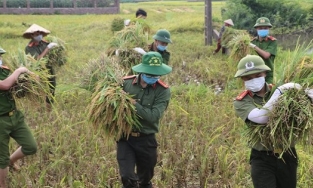 Công an ra đồng gặt lúa thấy cho người dân phải cách ly vì dịch Covid-19