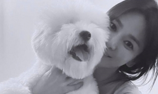 Là 'nữ thần', Song Hye Kyo cũng có lúc lộ khuyết điểm lớn trên gương mặt