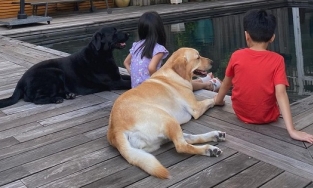 Tăng Thanh Hà hé lộ cách hai con thư giãn, tuyệt đối 'nói không' với smartphone