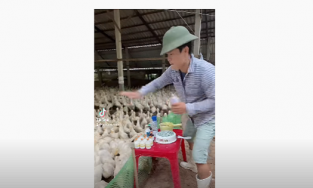 Sinh ra làm DJ nhưng bố mẹ bắt đi chăn vịt, anh nông dân 'quẩy tưng' MXH