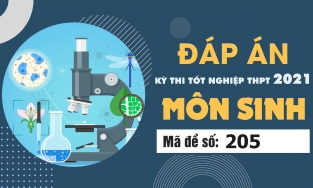 Đáp án đề thi môn Sinh học mã đề 205 THPT Quốc gia lần 1 năm 2021