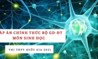 Đáp án chính thức môn Sinh học THPT quốc gia 2021 từ Bộ Giáo dục: Tất cả các mã đề