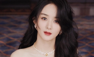 Triệu Lệ Dĩnh trả lời thế nào khi bị hỏi mỗi tháng đưa con trai bao nhiêu tiền?