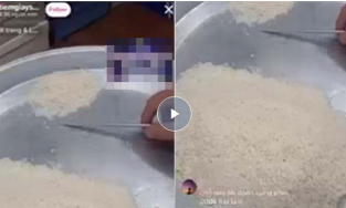 Rảnh rỗi mùa dịch, thanh niên livestream đếm gạo hút gần 10 nghìn người xem