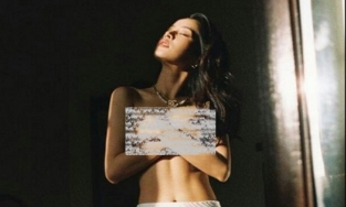 Chiều fan như Chi Pu, đòi hình mlem, có ngay tấm ảnh không mặc gì