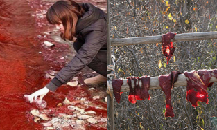 Top 11 cơn mưa kỳ lạ nhất thế giới, có mưa thịt, mưa máu và cả mưa tiền