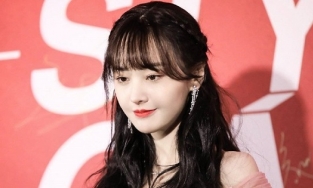 Nối bước Triệu Vy, Trịnh Sảng bị xóa khỏi loạt poster phim đình đám