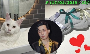 Trấn Thành khóc nghẹn viết tâm thư lúc 4h sáng khi mèo cưng rơi lầu tử vong