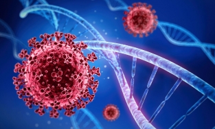 Việt Nam đã xuất hiện biến thể phụ BA.5 có khả năng miễn dịch vaccine