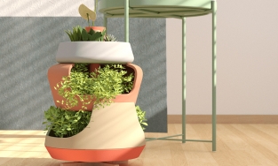 Cận cảnh 2 thiết kế chậu trồng cây gia vị thông minh để bày trong phòng bếp