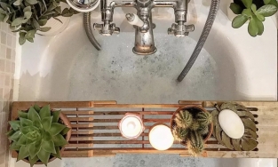 5 ý tưởng dùng cây cảnh để trang trí phòng tắm đẹp rạng ngời