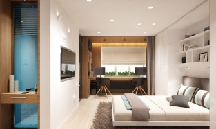 Căn hộ 30m² nhưng đa năng của đôi vợ chồng trẻ