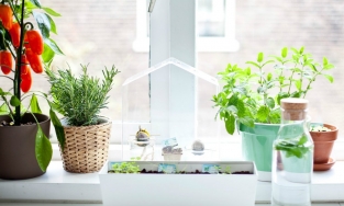 5 khu vực bạn thường bỏ lỡ khi trang trí nhà