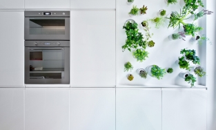 Căn hộ 71m² nổi bật với sàn bếp cầu vồng và khu vườn thẳng đứng trên tường