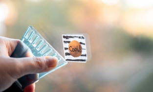 4 phương pháp loại bỏ vết keo trên bề mặt kính và chai lọ hiệu quả