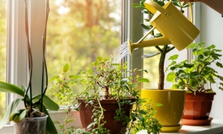 4 cách đơn giản mà hiệu quả để tạo nên phong thủy tốt cho ngôi nhà