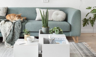 Phòng khách đẹp và tiện nghi với chi phí eo hẹp: Hoàn toàn có thể!