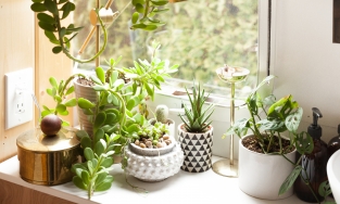 15 ý tưởng tạo nên góc xanh tươi mát cho không gian sống thêm lôi cuốn