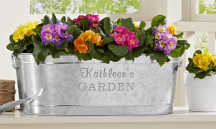 14 mẫu chậu hoa từ đơn giản đến sáng tạo độc đáo cho thềm nhà quyến rũ