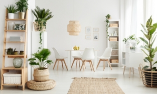 Trồng cây trong nhà: 5 ý tưởng tự tạo một khu vườn mini xinh đẹp ngày Hè