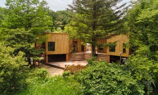 Ngôi trường gỗ giữa rừng để dạy trẻ nhỏ biết trân trọng rừng và môi trường