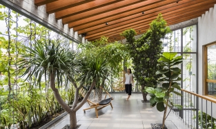 Stepping Park House: Ngôi nhà xanh mướt giữa Sài Gòn tấp nập