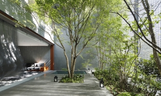 Ngôi nhà 3 tầng thu hút mọi ánh nhìn nhờ tường kính ấn tượng ở Nhật Bản