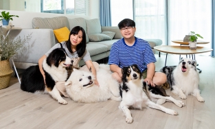 Căn hộ phong cách Bắc Âu có hẳn phòng riêng cho 4 chú cho cưng của cặp vợ chồng trẻ