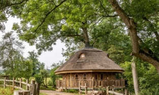 'Ngôi nhà trên cây', không gian sống nhiều người muốn được trải nghiệm một lần