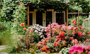 Thiết kế sân vườn: Những xu hướng được ưa chuộng trong năm 2022