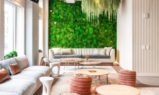 Ngôi nhà ngày Tết sinh động bất ngờ với những 'khu vườn trên tường' cực kỳ mát mắt