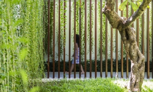 The Drawers House, ngôi nhà tại Vũng Tàu với những 'ngăn kéo cảnh quan' rợp bóng cây xanh tuyệt đẹp